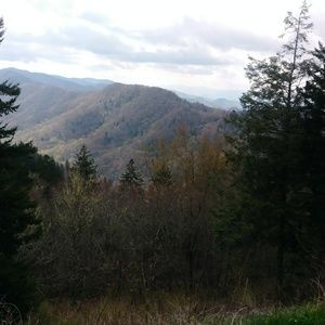 Meet your Posher, Alice